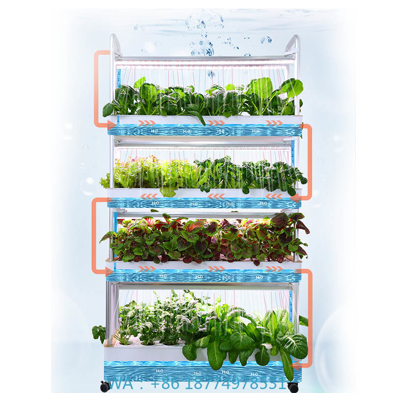 Home Automation Diy - Sistema de plantación ydroponic Sistema de