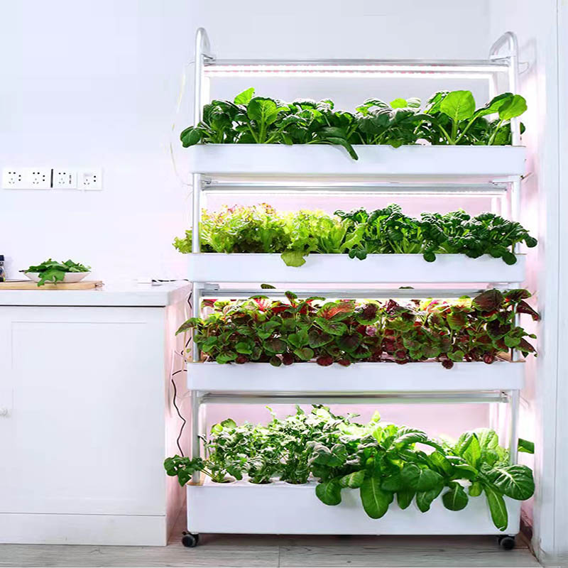 Sistema de plantación ydroponi - Home Automation Diy reseña y precio
