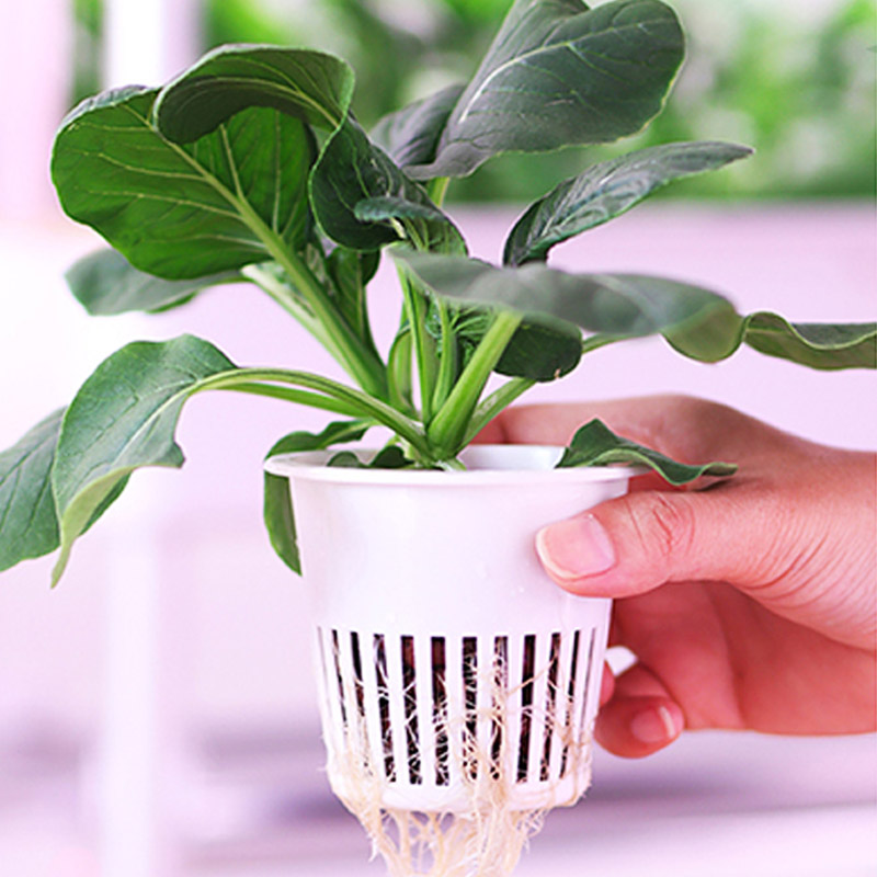 Sistema de plantación ydroponi - Home Automation Diy reseña y precio